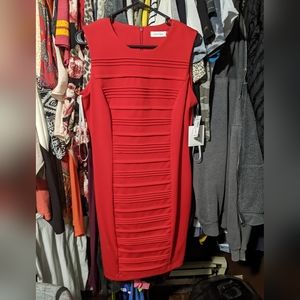 Figure flattering red Calvin Klein dress